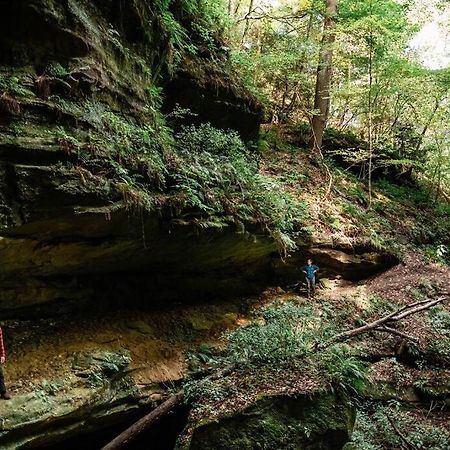 Dunlap Hollow A-Frame Rockbridge Zewnętrze zdjęcie