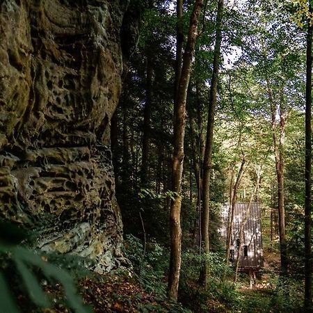 Dunlap Hollow A-Frame Rockbridge Zewnętrze zdjęcie