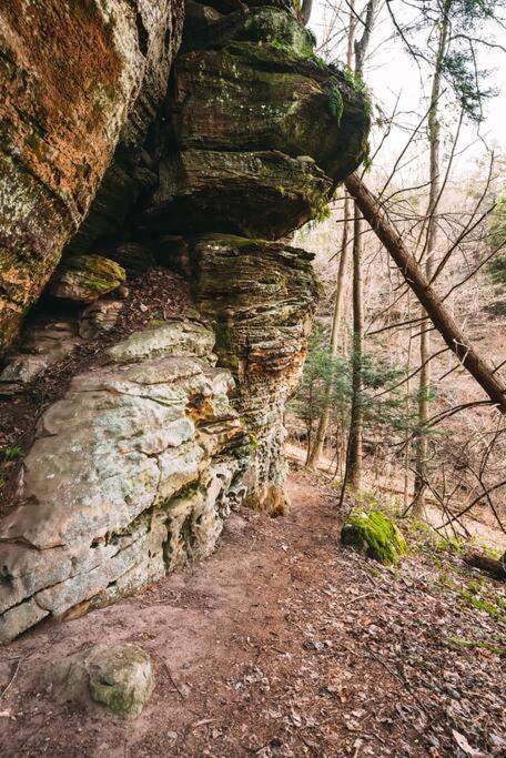 Dunlap Hollow A-Frame Rockbridge Zewnętrze zdjęcie