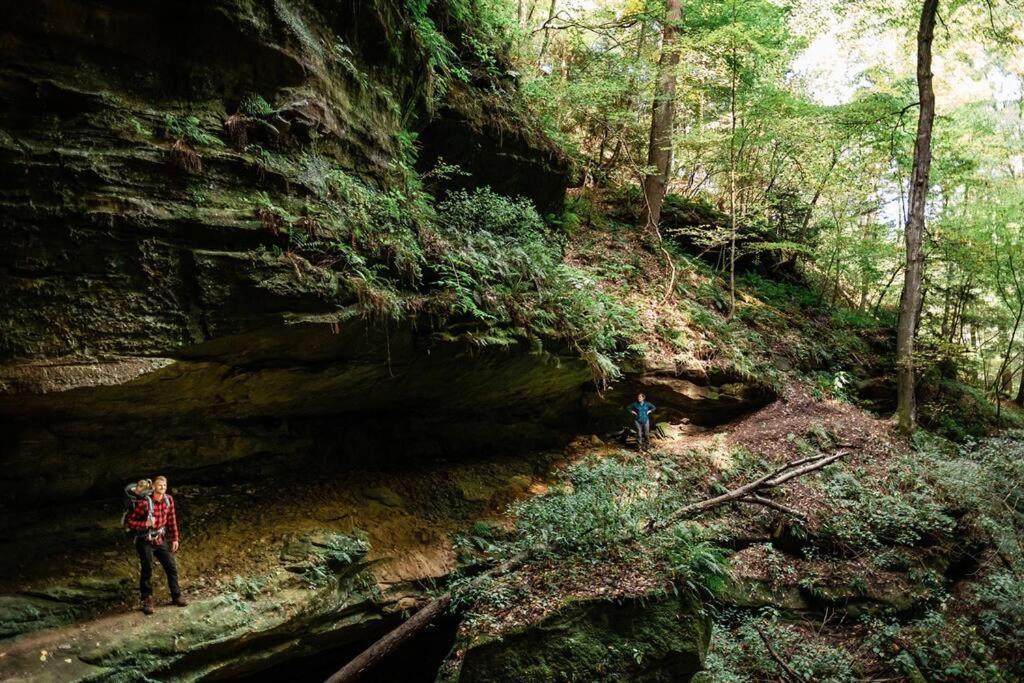 Dunlap Hollow A-Frame Rockbridge Zewnętrze zdjęcie