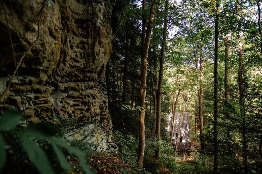 Dunlap Hollow A-Frame Rockbridge Zewnętrze zdjęcie