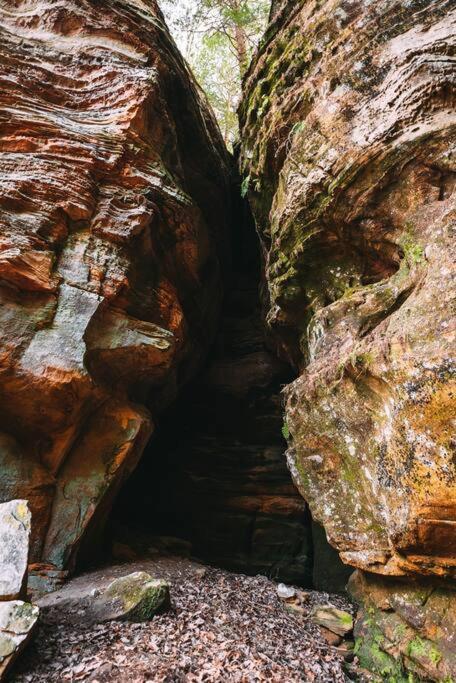 Dunlap Hollow A-Frame Rockbridge Zewnętrze zdjęcie
