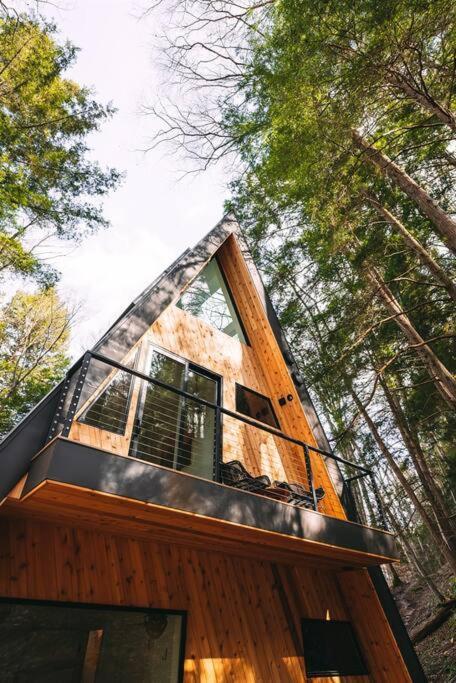 Dunlap Hollow A-Frame Rockbridge Zewnętrze zdjęcie