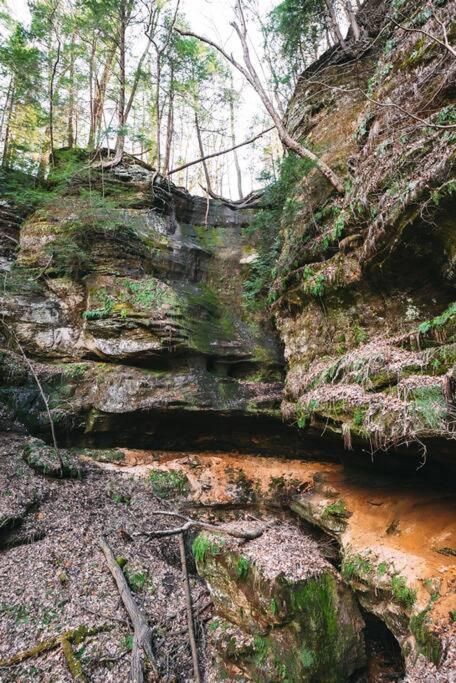 Dunlap Hollow A-Frame Rockbridge Zewnętrze zdjęcie