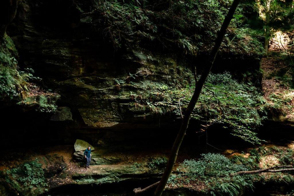 Dunlap Hollow A-Frame Rockbridge Zewnętrze zdjęcie