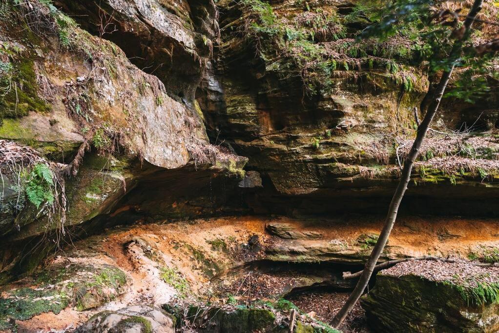 Dunlap Hollow A-Frame Rockbridge Zewnętrze zdjęcie