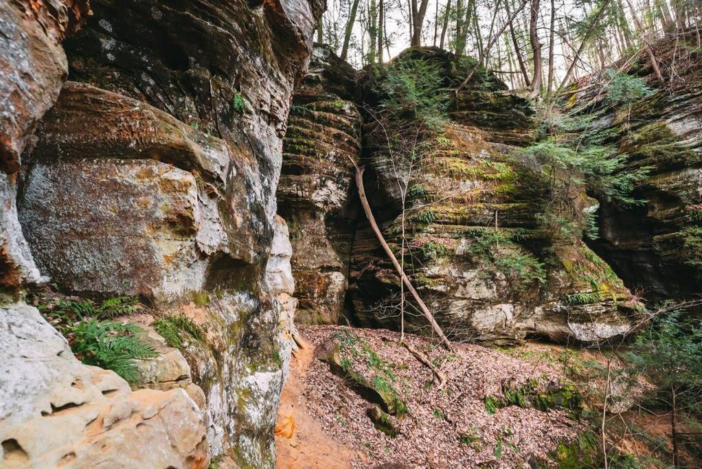 Dunlap Hollow A-Frame Rockbridge Zewnętrze zdjęcie